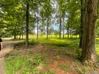 995 Mckee Road, Toney, AL 35773