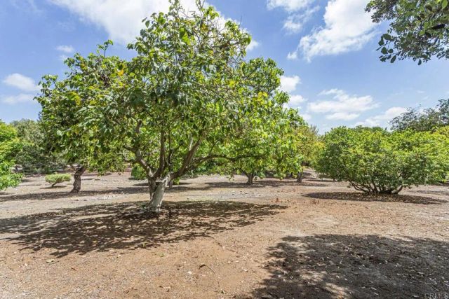 0 Via De Fortuna, Rancho Santa Fe, CA 92067