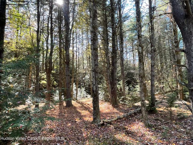 497 Campbell Road, Ashland, NY 12407