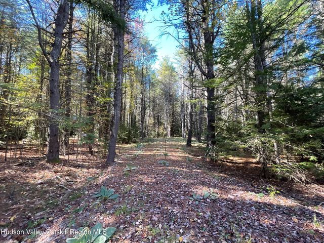 497 Campbell Road, Ashland, NY 12407