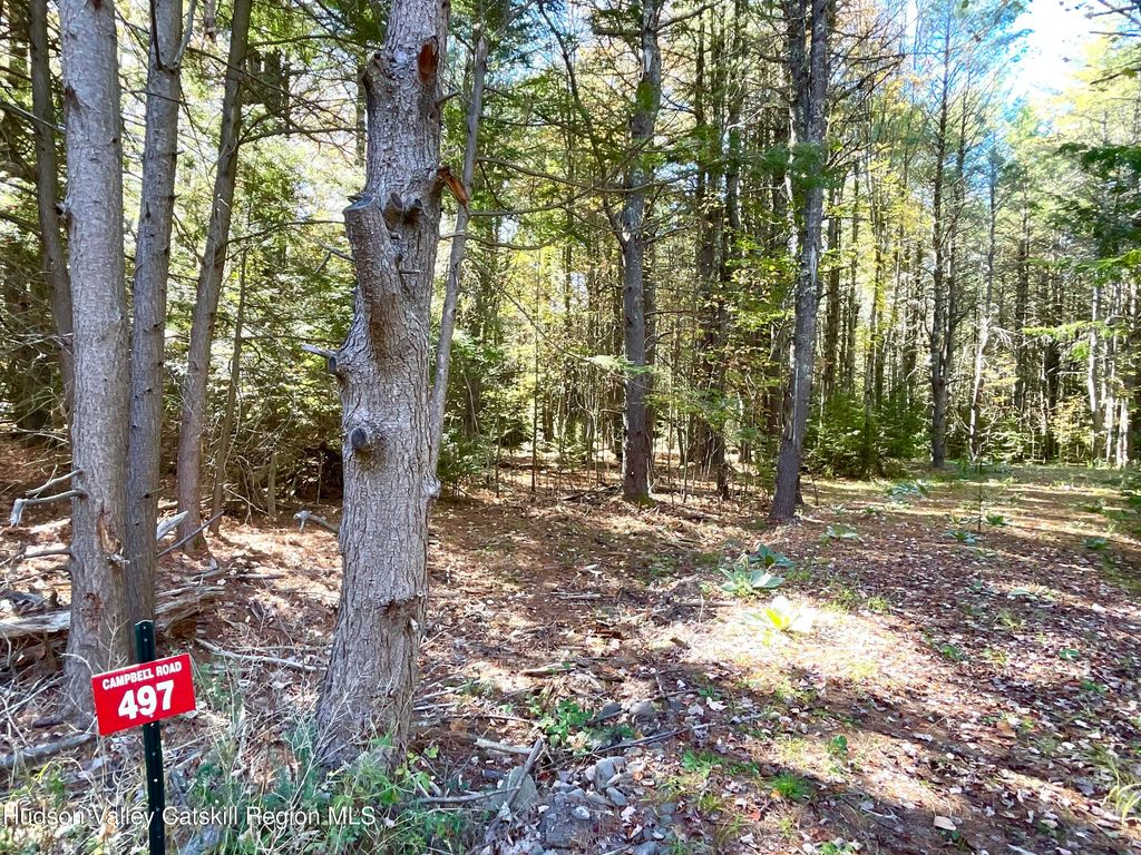 497 Campbell Road, Ashland, NY 12407