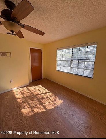 5197 Odin Street, Spring Hill, FL 34608