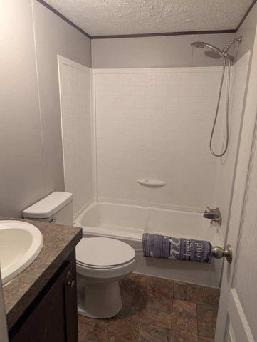 260 Buck Branch Road, Mill Spring, NC 28756