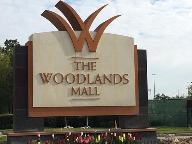 6 Skyland Place, The Woodlands, TX 77381