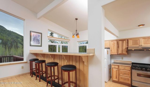 Mile 59 McCarthy Road, Chitina, AK 99566