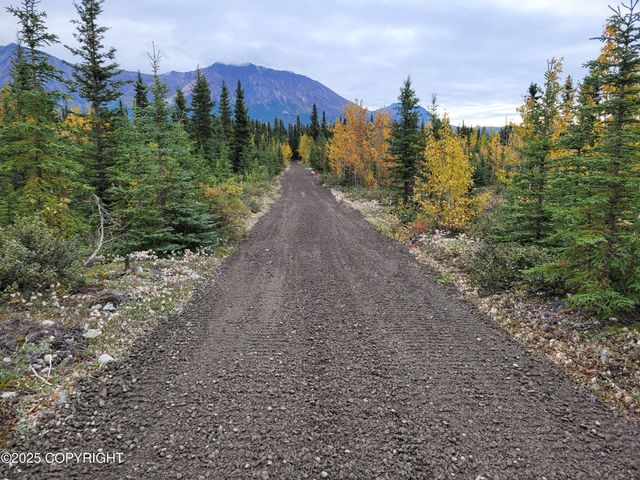 Mile 59 McCarthy Road, Chitina, AK 99566