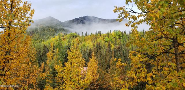 Mile 59 McCarthy Road, Chitina, AK 99566
