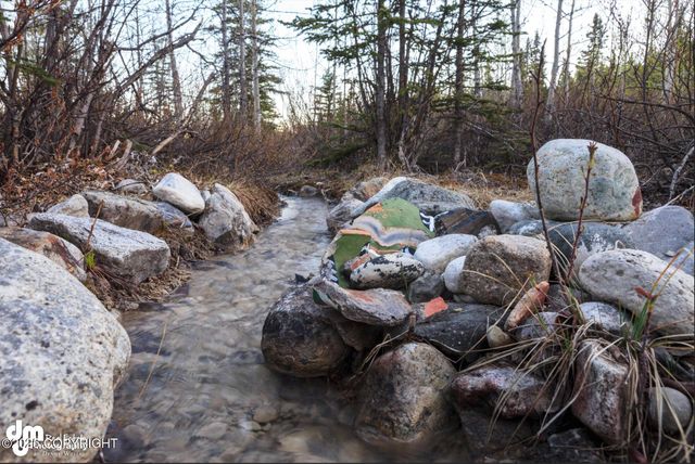 Mile 59 McCarthy Road, Chitina, AK 99566