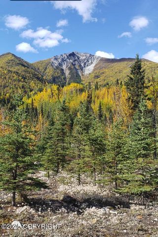 Mile 59 McCarthy Road, Chitina, AK 99566