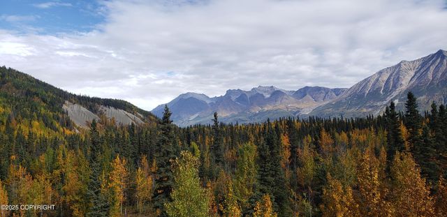 Mile 59 McCarthy Road, Chitina, AK 99566