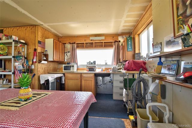 1091 Kokanee Road, Fairplay, CO 80440