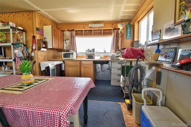 1091 Kokanee Road, Fairplay, CO 80440