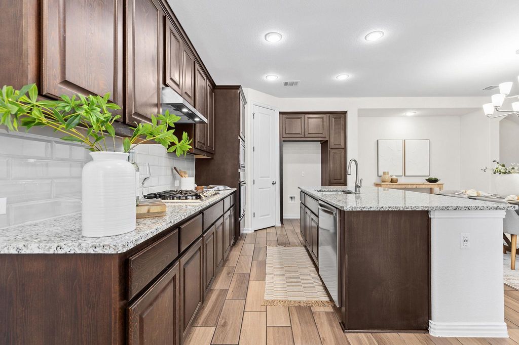 2953 Diego DR, Round Rock, TX 78665