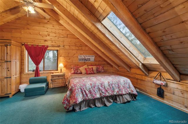 2578 Redhill Road, Fairplay, CO 80440