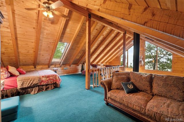 2578 Redhill Road, Fairplay, CO 80440