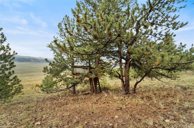 2578 Redhill Road, Fairplay, CO 80440