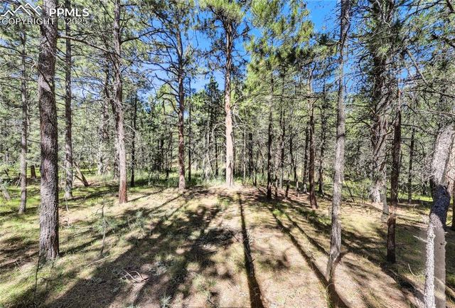 18400 Black Squirrel Road, Colorado Springs, CO 80908