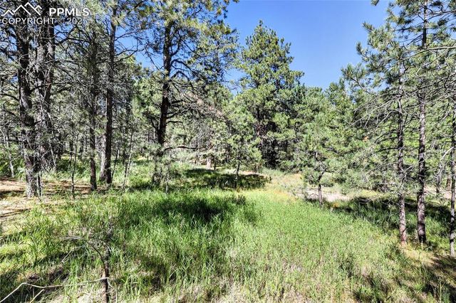 18400 Black Squirrel Road, Colorado Springs, CO 80908