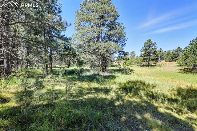 18400 Black Squirrel Road, Colorado Springs, CO 80908