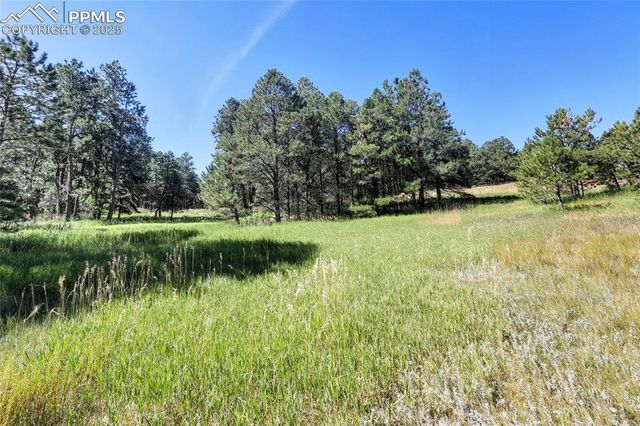 18400 Black Squirrel Road, Colorado Springs, CO 80908