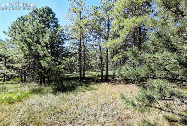 18400 Black Squirrel Road, Colorado Springs, CO 80908