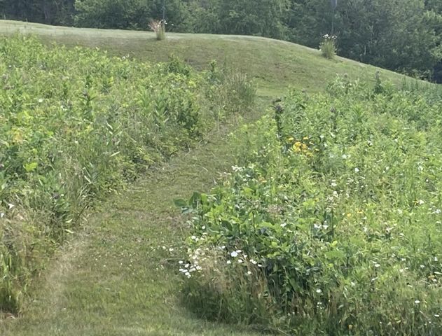 138 Trow Hill Road, Sunapee, NH 03782