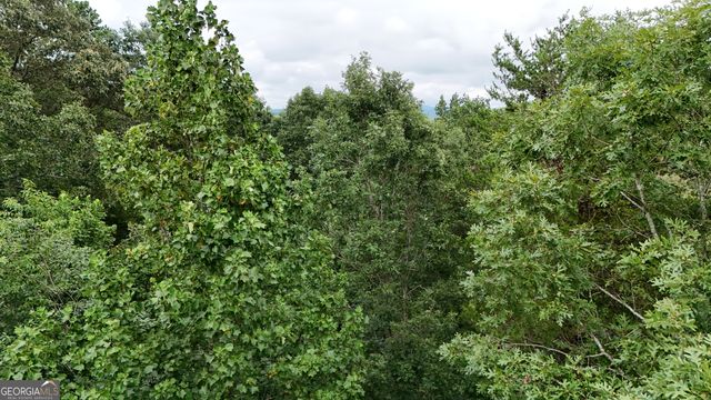 LOT 16 Morris Trail, Cleveland, GA 30528