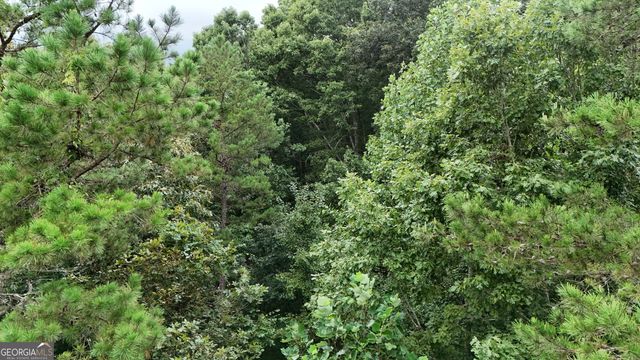 LOT 16 Morris Trail, Cleveland, GA 30528