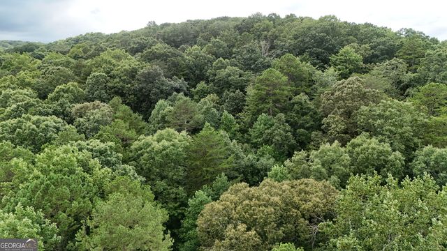LOT 16 Morris Trail, Cleveland, GA 30528