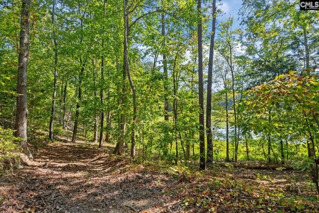 573 Canasta Drive, Gilbert, SC 29054