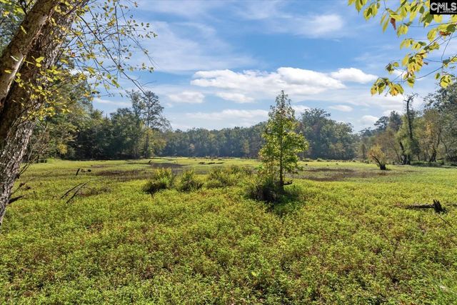 573 Canasta Drive, Gilbert, SC 29054