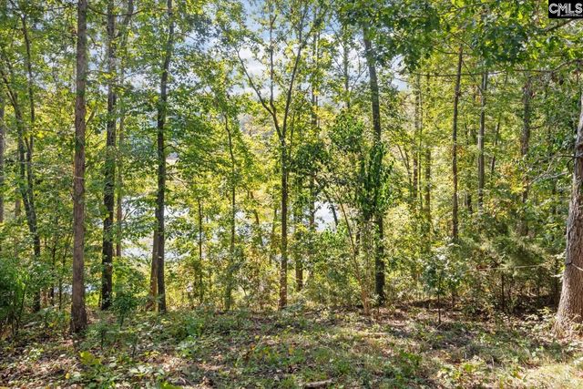 573 Canasta Drive, Gilbert, SC 29054