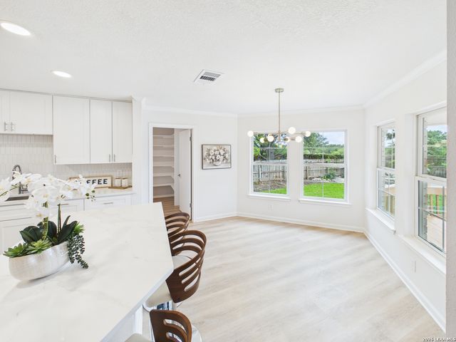 2902 REDSKY PASS, San Antonio, TX 78259