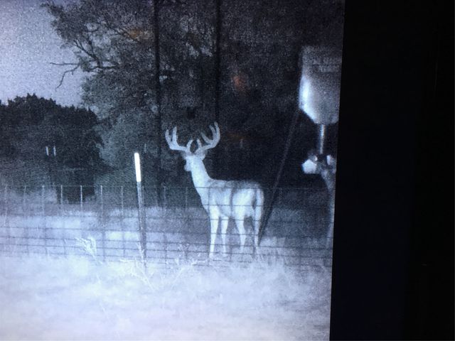 631 CR 352, Merkel, TX 79536