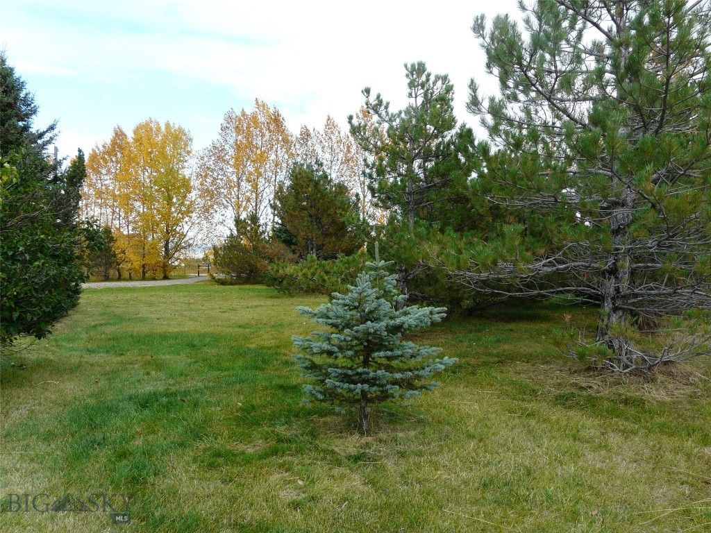 7543 Fowler Lane, Bozeman, MT 59718 photo 18