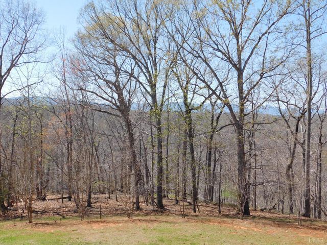 320 Ruth Drive, Madison Heights, VA 24572