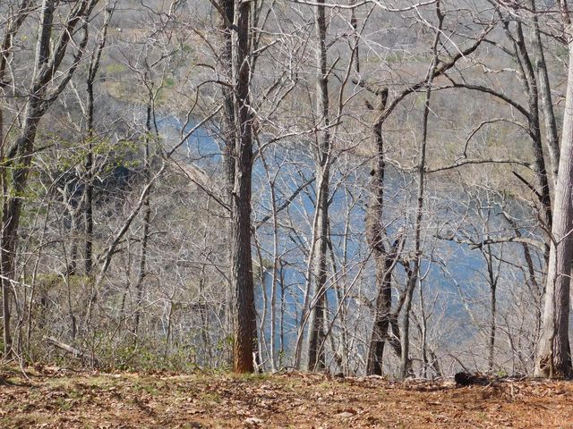 320 Ruth Drive, Madison Heights, VA 24572