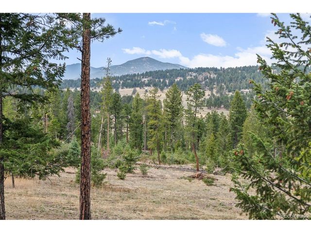 5981 Bluebell Ln, Evergreen, CO 80439