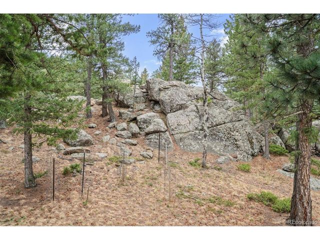 5981 Bluebell Ln, Evergreen, CO 80439