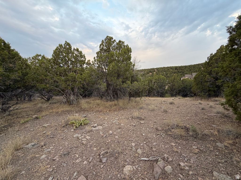 14542 S SHAGGY MOUNTAIN RD # 2, Herriman, UT 84096 — photo 2