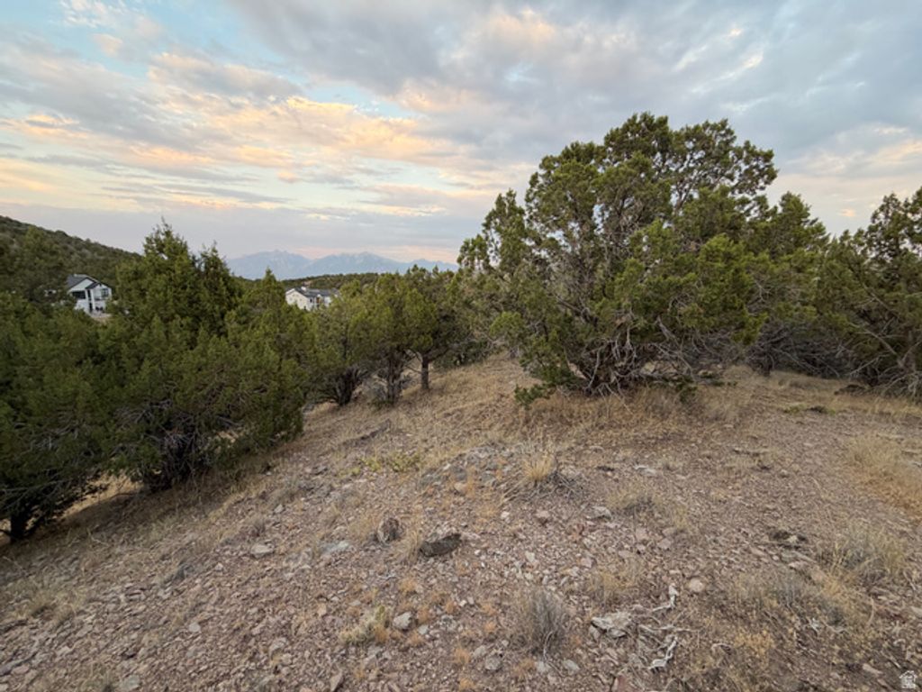 14542 S SHAGGY MOUNTAIN RD # 2, Herriman, UT 84096 — photo 3