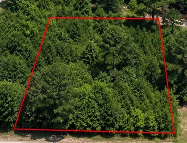 0 Spanish Oaks Drive, New Caney, TX 77357