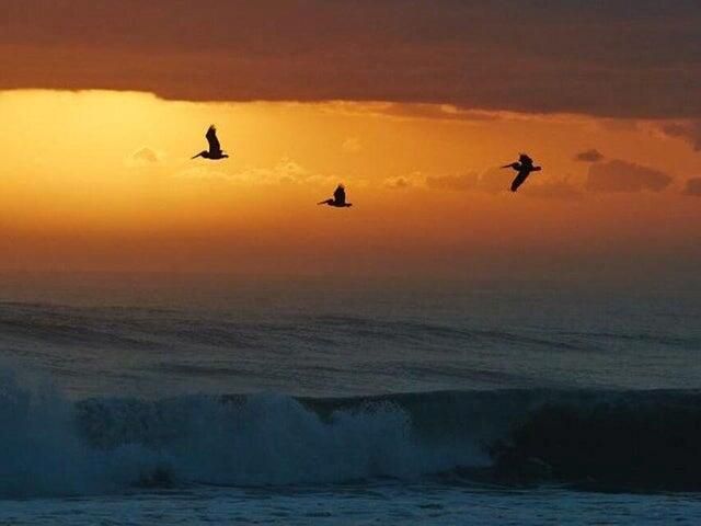 450 Horizons E 107, Boynton Beach, FL 33435