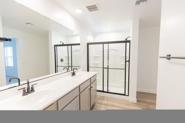 16976 W Diana Avenue, Waddell, AZ 85355