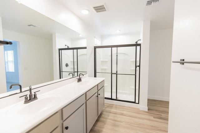 16976 W Diana Avenue, Waddell, AZ 85355