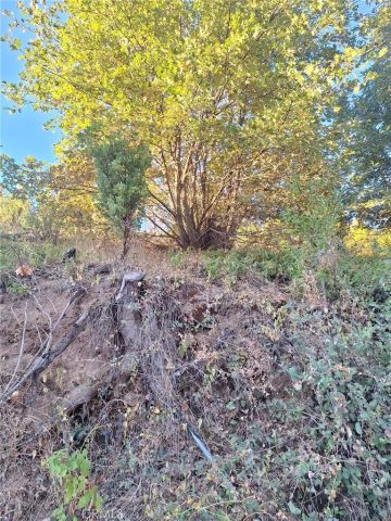 11081 Hot Springs, Middletown, CA 95461