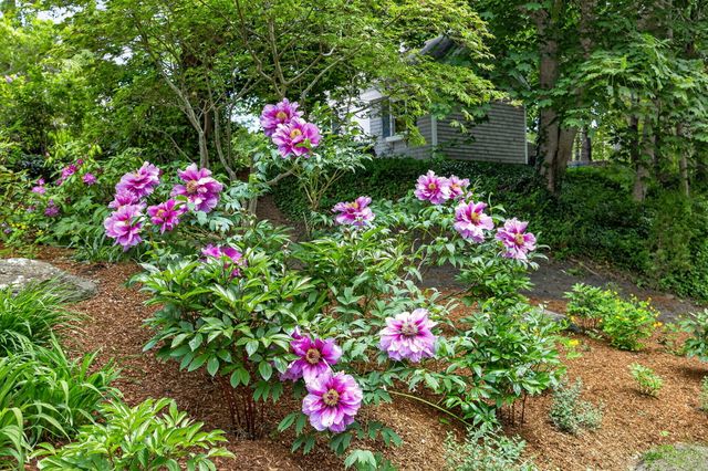 370 Main Street, South Dennis, MA 02660