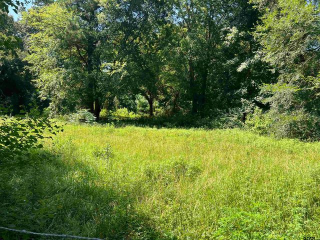 1736 County Road 246 N, Tyler, TX 75705