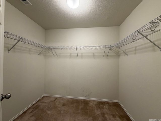 323 Mistflower, New Braunfels, TX 78130