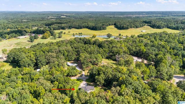 1445 COUNTY ROAD 33, Calera, AL 35040